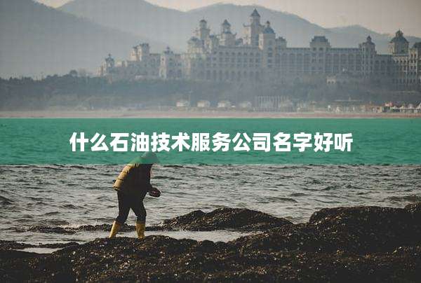 什么石油技术服务公司名字好听