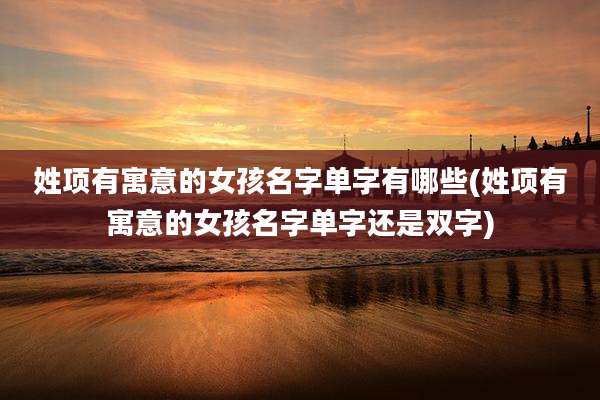 姓项有寓意的女孩名字单字有哪些(姓项有寓意的女孩名字单字还是双字)