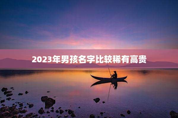 2023年男孩名字比较稀有高贵