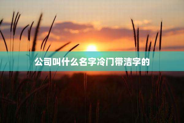 公司叫什么名字冷门带洁字的
