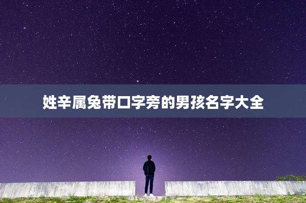 姓辛属兔带口字旁的男孩名字大全