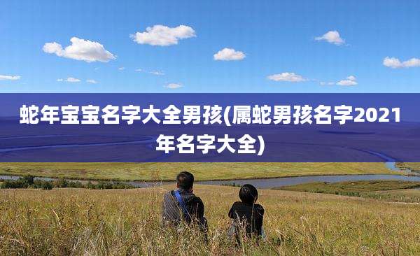 蛇年宝宝名字大全男孩(属蛇男孩名字2021年名字大全)
