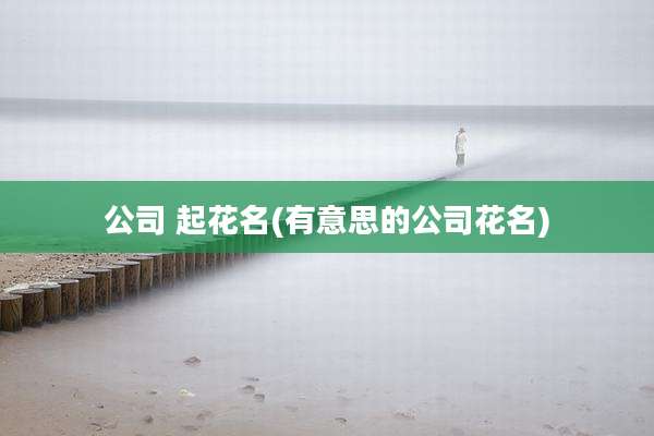 公司 起花名(有意思的公司花名)