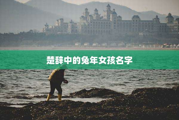 楚辞中的兔年女孩名字