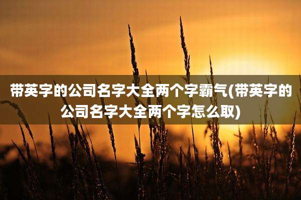 带英字的公司名字大全两个字霸气(带英字的公司名字大全两个字怎么取)