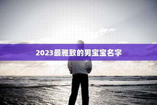 2023最雅致的男宝宝名字