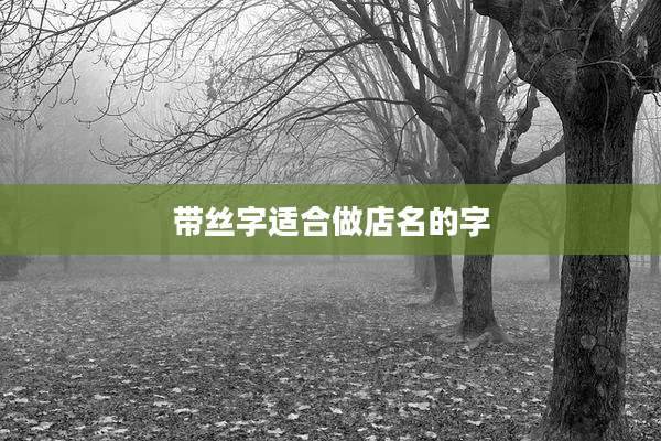 带丝字适合做店名的字