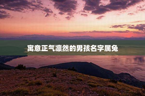 寓意正气凛然的男孩名字属兔