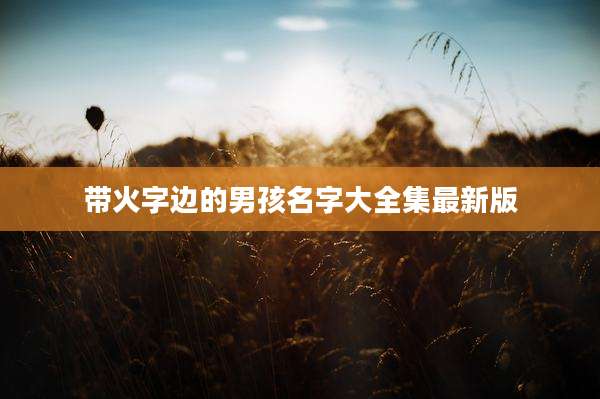 带火字边的男孩名字大全集最新版