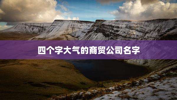 四个字大气的商贸公司名字