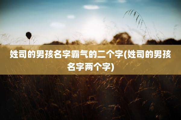 姓司的男孩名字霸气的二个字(姓司的男孩名字两个字)