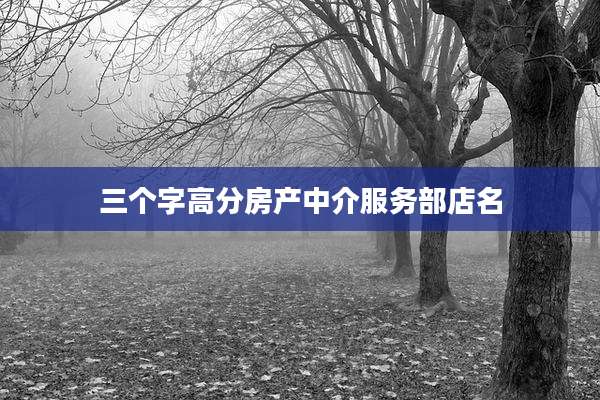 三个字高分房产中介服务部店名