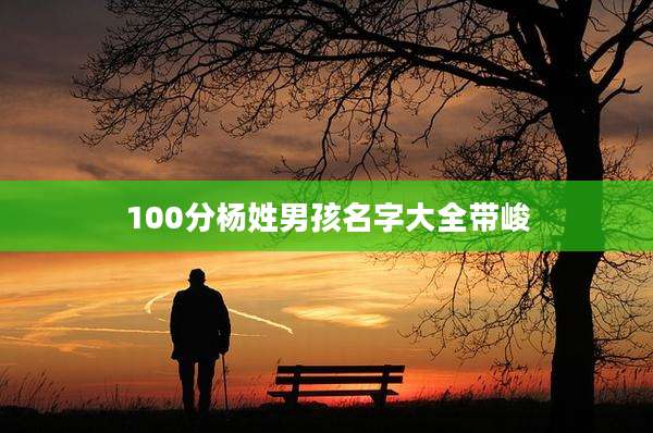 100分杨姓男孩名字大全带峻