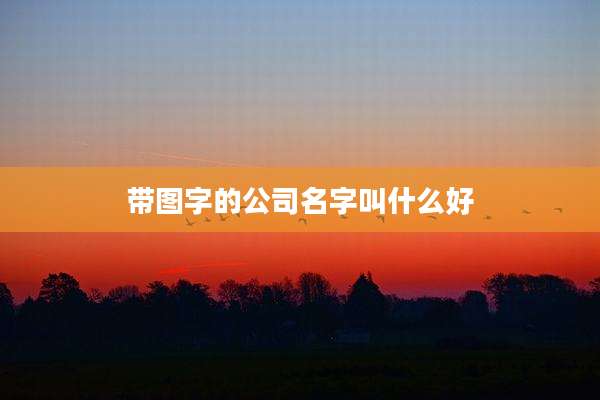 带图字的公司名字叫什么好