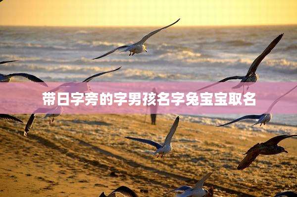带日字旁的字男孩名字兔宝宝取名
