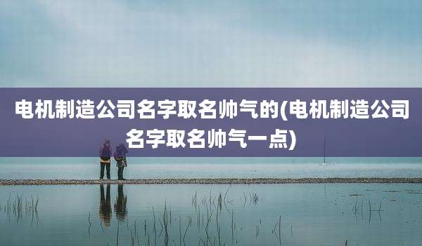 电机制造公司名字取名帅气的(电机制造公司名字取名帅气一点)