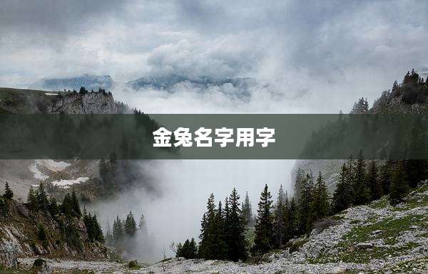 金兔名字用字