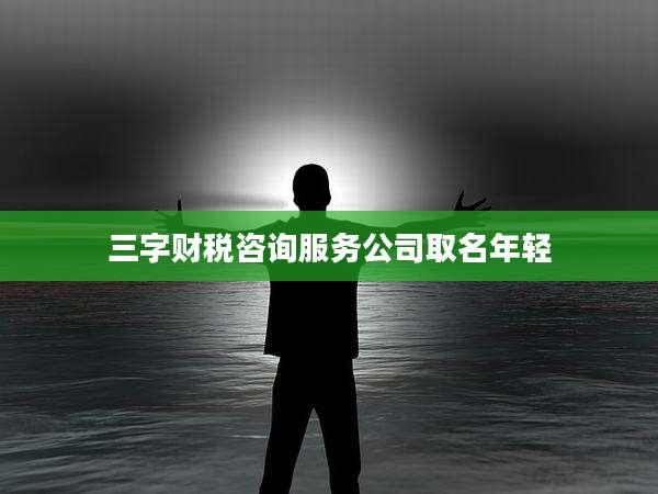 三字财税咨询服务公司取名年轻