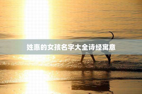 姓惠的女孩名字大全诗经寓意