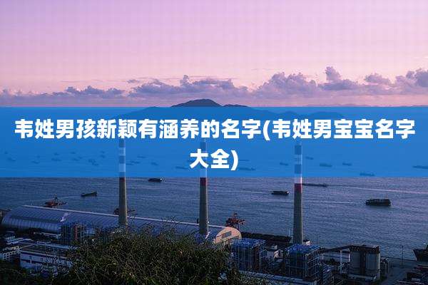 韦姓男孩新颖有涵养的名字(韦姓男宝宝名字大全)