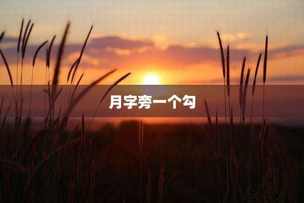 月字旁一个勾