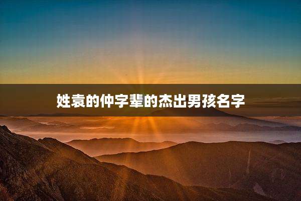 姓袁的仲字辈的杰出男孩名字