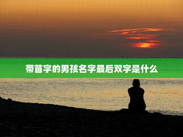 带苗字的男孩名字最后双字是什么