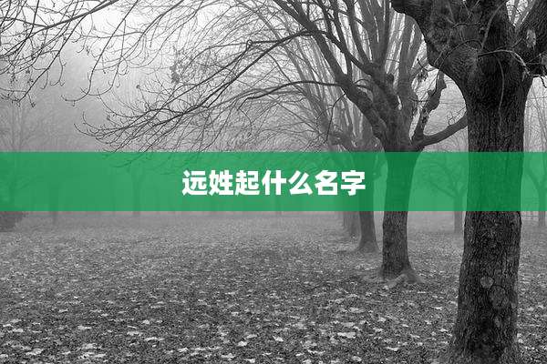 远姓起什么名字
