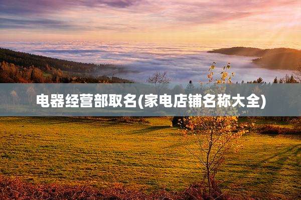 电器经营部取名(家电店铺名称大全)