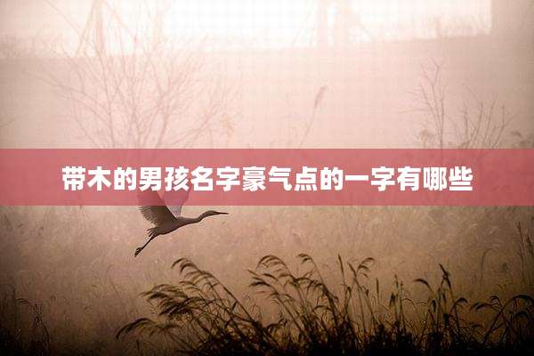 带木的男孩名字豪气点的一字有哪些