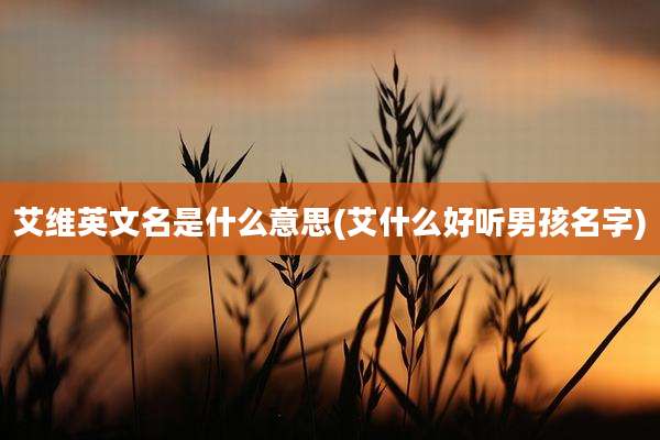艾维英文名是什么意思(艾什么好听男孩名字)