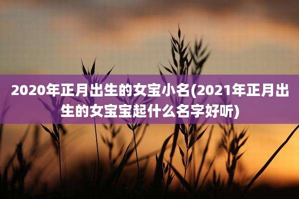 2020年正月出生的女宝小名(2021年正月出生的女宝宝起什么名字好听)