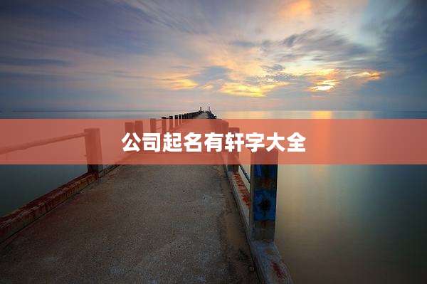公司起名有轩字大全