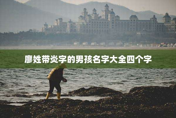 廖姓带炎字的男孩名字大全四个字
