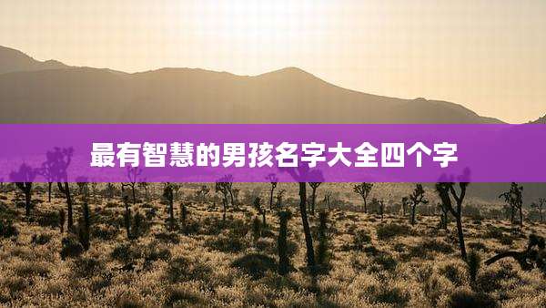 最有智慧的男孩名字大全四个字