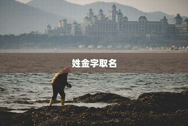 姓金字取名