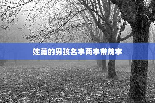 姓蒲的男孩名字两字带茂字