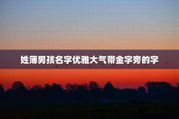姓薄男孩名字优雅大气带金字旁的字