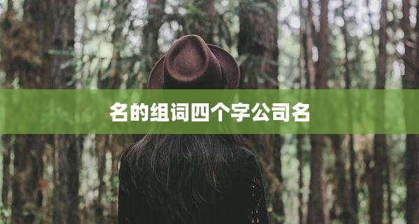 名的组词四个字公司名