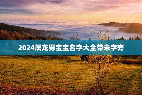 2024属龙男宝宝名字大全带米字旁