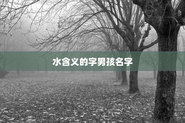水含义的字男孩名字