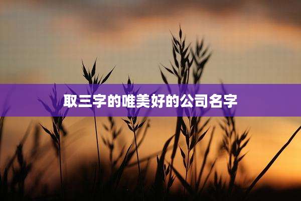 取三字的唯美好的公司名字