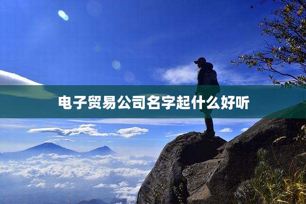 电子贸易公司名字起什么好听