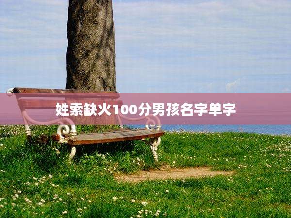 姓索缺火100分男孩名字单字