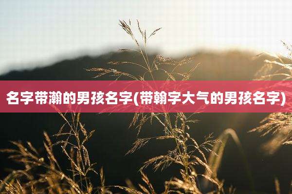 名字带瀚的男孩名字(带翰字大气的男孩名字)