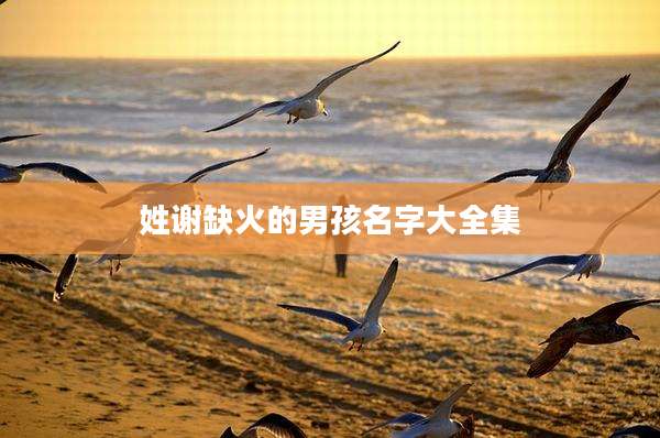 姓谢缺火的男孩名字大全集