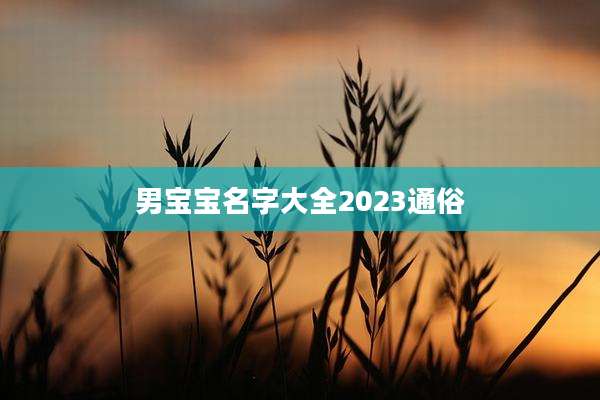 男宝宝名字大全2023通俗
