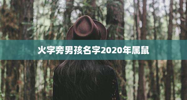 火字旁男孩名字2020年属鼠