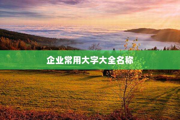 企业常用大字大全名称