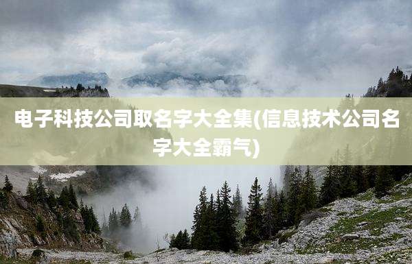 电子科技公司取名字大全集(信息技术公司名字大全霸气)
